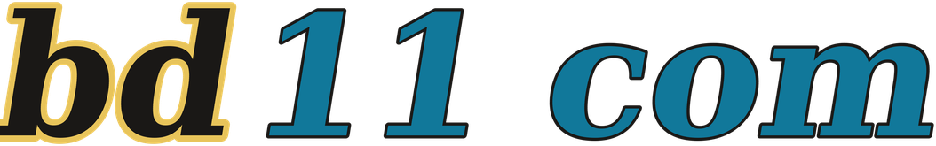 bd11 com logo